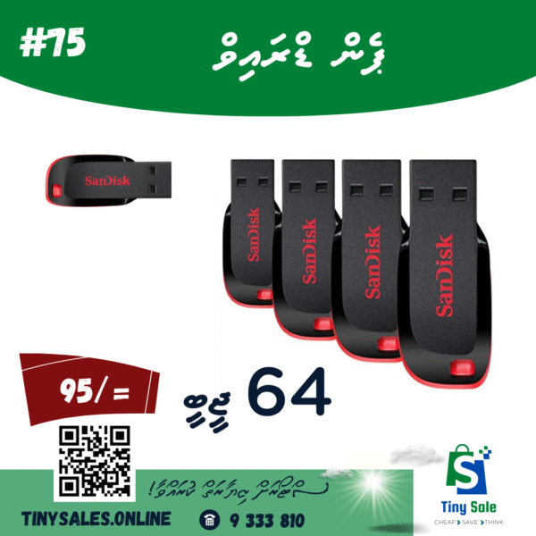 64 GB USB Flash Drive